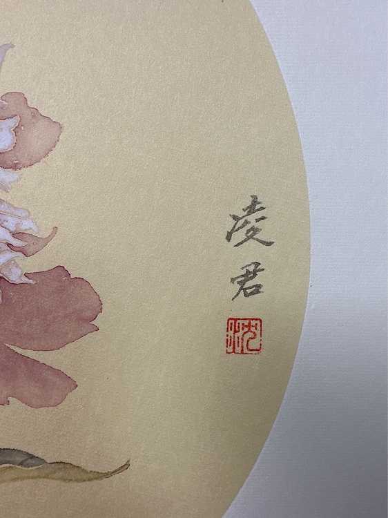 沈凌君 芍药花