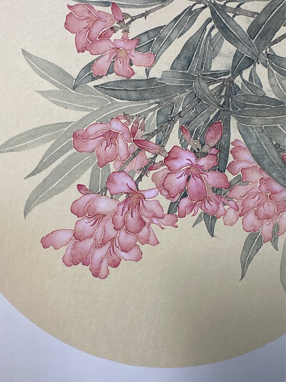 沈凌君 夹竹桃