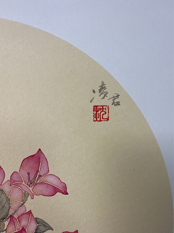 沈凌君 三角梅