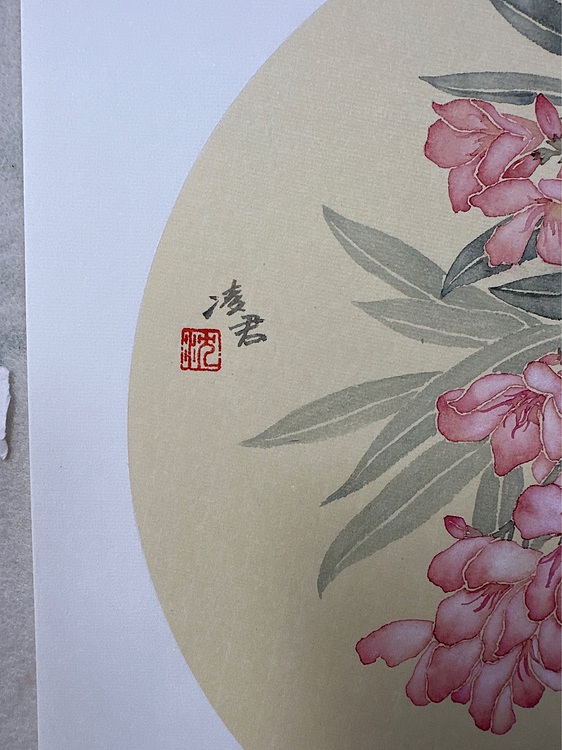沈凌君 夹竹桃