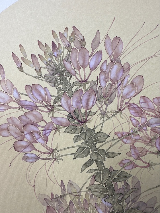 沈凌君 醉蝶花