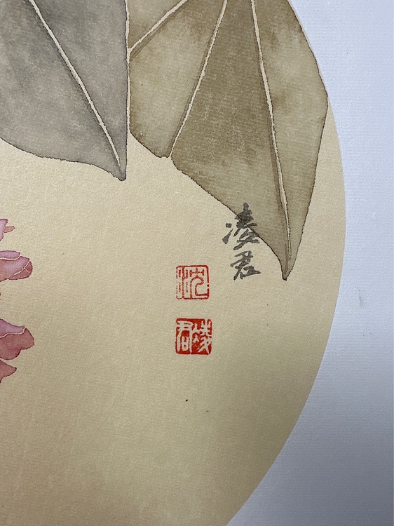 沈凌君 非洲芙蓉