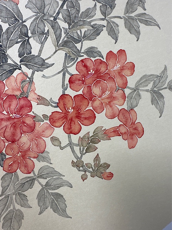 沈凌君 凌霄花