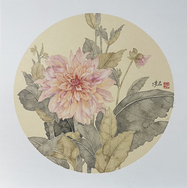 沈凌君 大丽花
