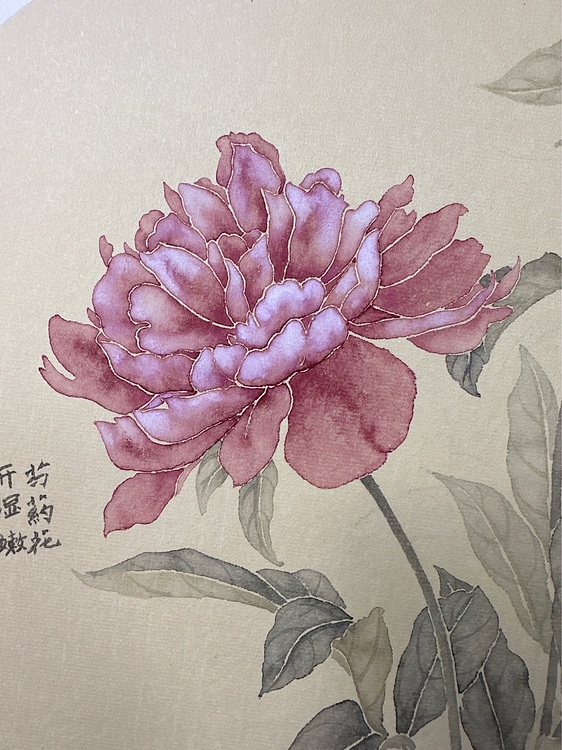 沈凌君 芍药花