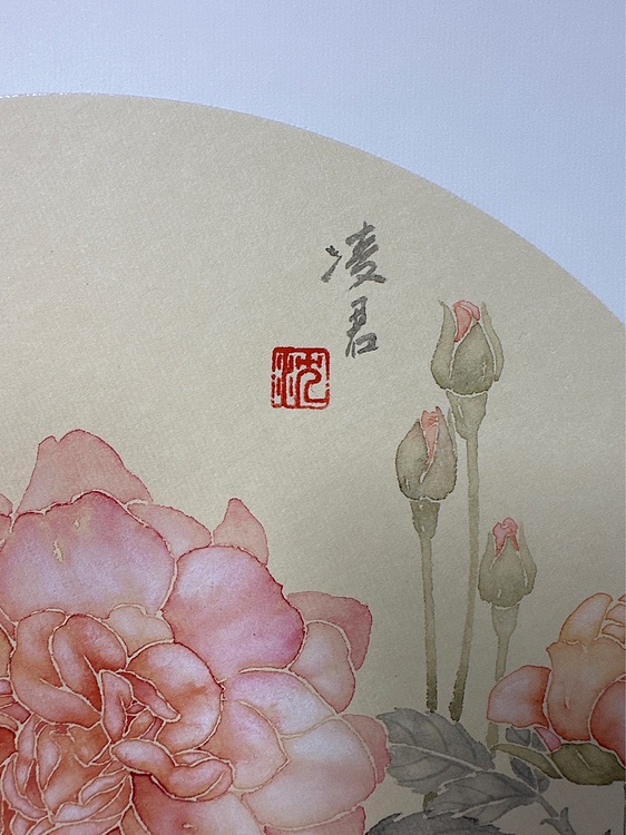 沈凌君 月季