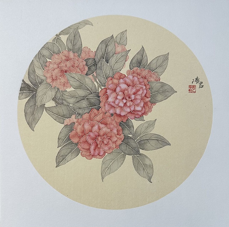 沈凌君 茶花
