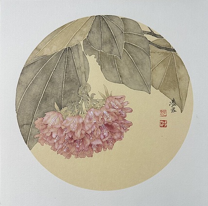沈凌君 非洲芙蓉