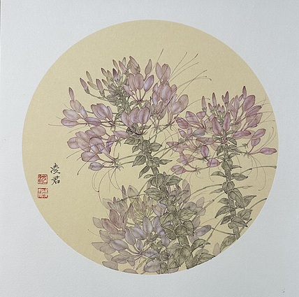 沈凌君 醉蝶花