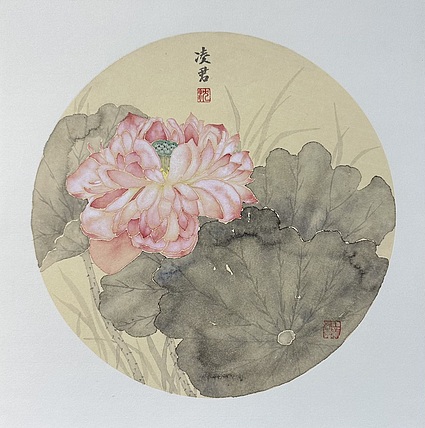 沈凌君 没骨荷花