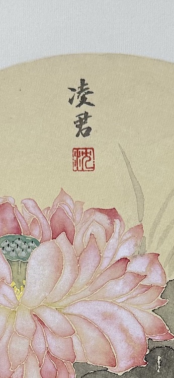 沈凌君 没骨荷花