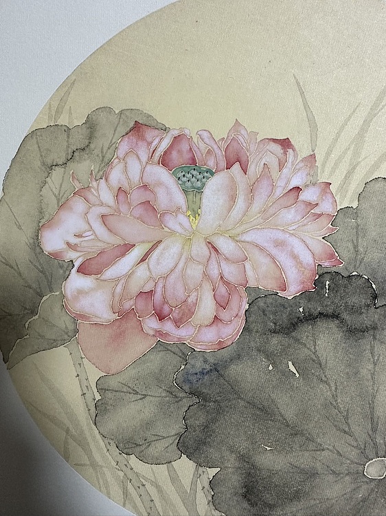 沈凌君 没骨荷花