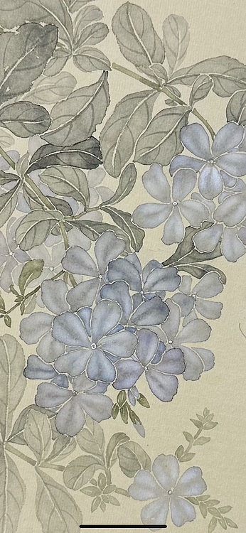 沈凌君 蓝花丹