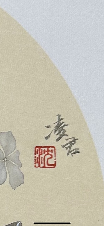 沈凌君 蓝花丹