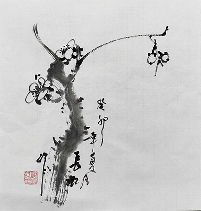 中国国画家协会理事 著名艺术家 谢长虹 花鸟画作品