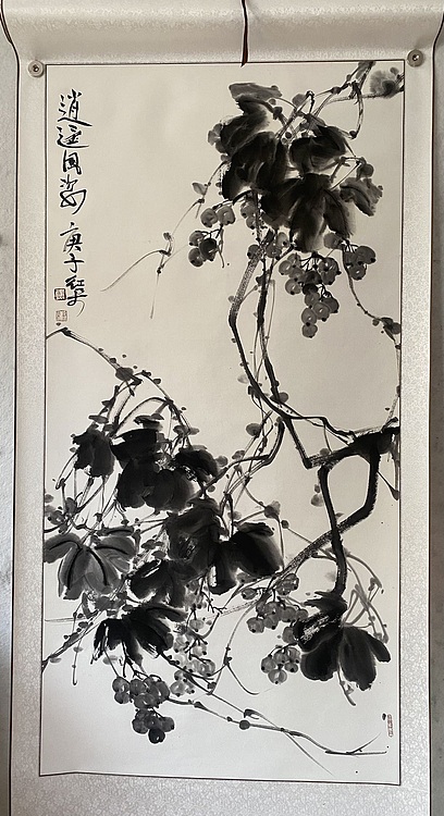 朵朵 逍遥风姿