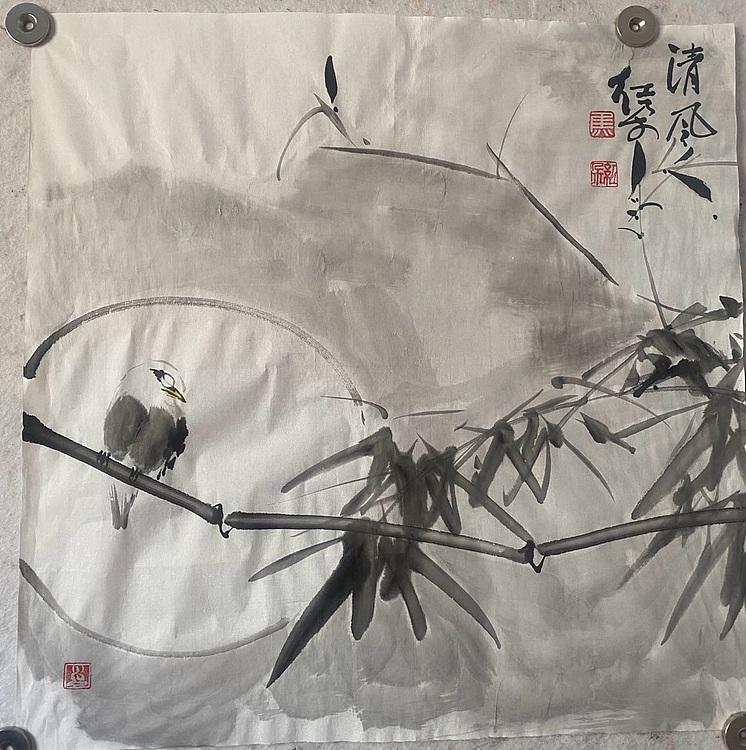 朵朵 清风