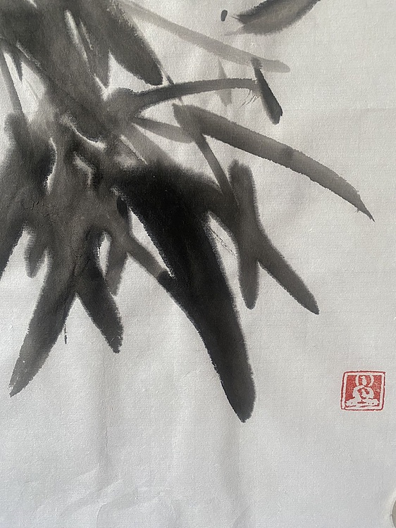 朵朵 竹子