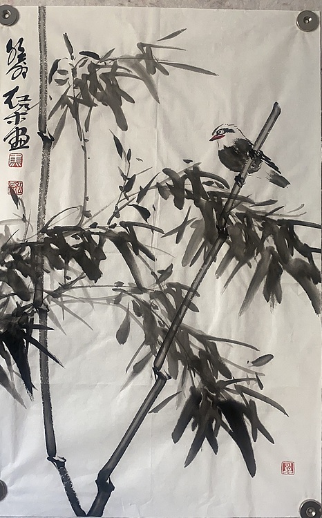 朵朵 竹子