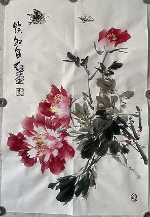 朵朵 牡丹