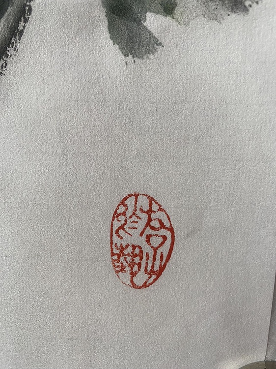 朵朵 牡丹