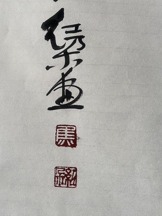 朵朵 牡丹
