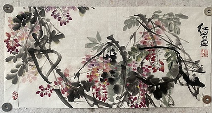 朵朵 紫藤花开