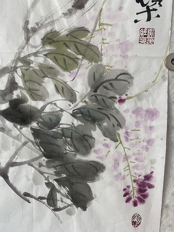 朵朵 八哥紫藤