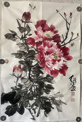 朵朵 牡丹花开
