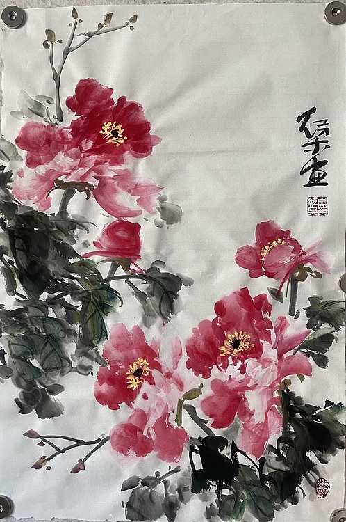 朵朵 牡丹