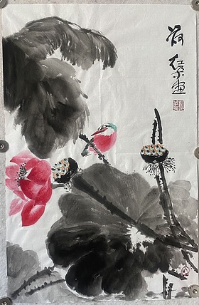 朵朵 荷花