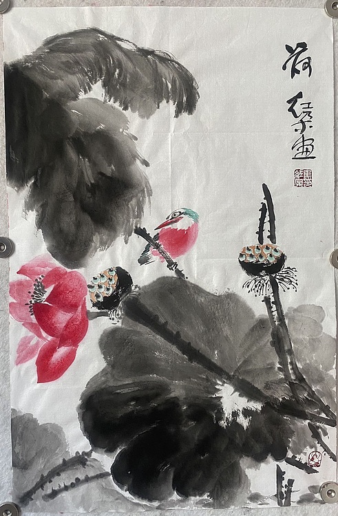 朵朵 荷花