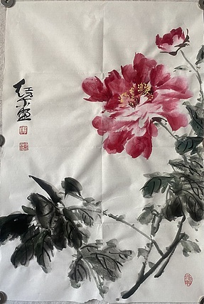 朵朵 牡丹