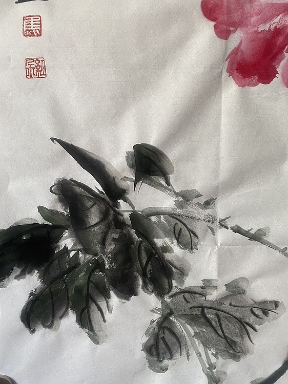 朵朵 牡丹