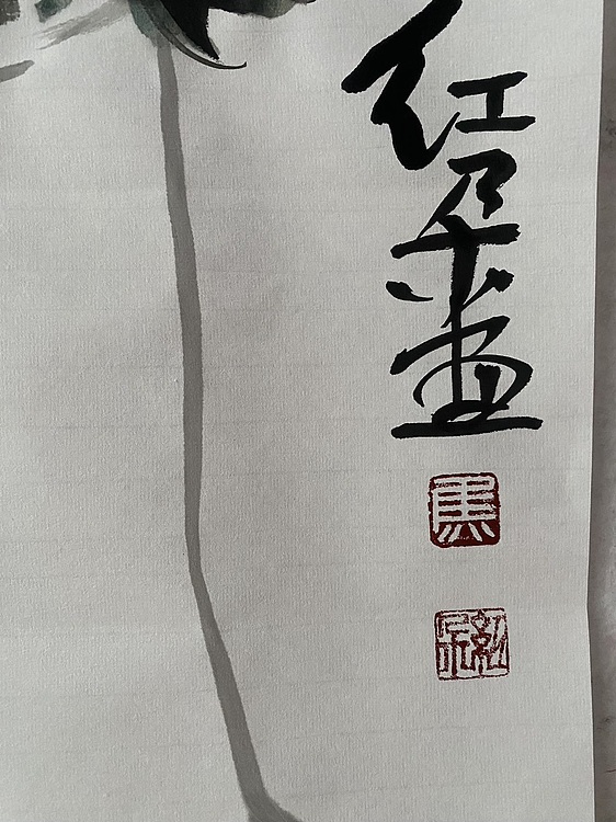 朵朵 牡丹