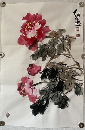 朵朵 牡丹花开