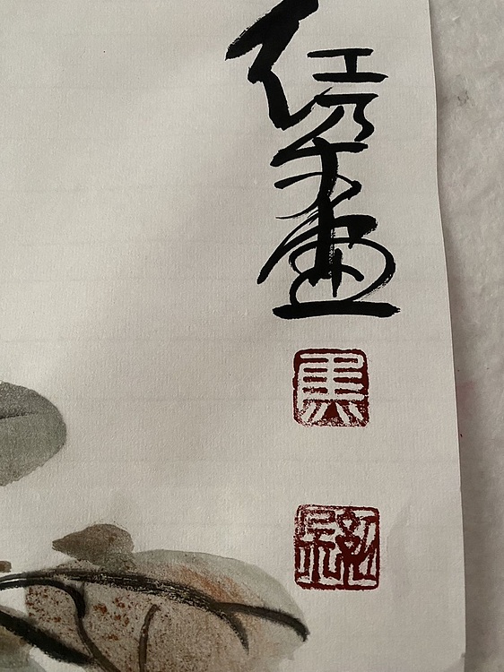 朵朵 牡丹花开