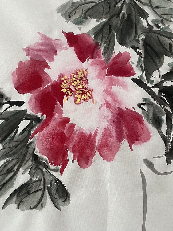 朵朵 牡丹