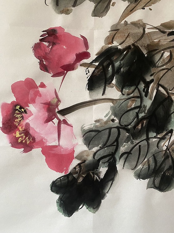朵朵 牡丹花开
