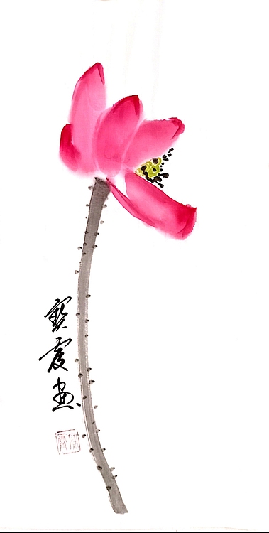 中国老年书画研究会会员 张宝霞 精品荷花四条屏