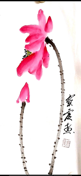 中国老年书画研究会会员 张宝霞 精品荷花四条屏