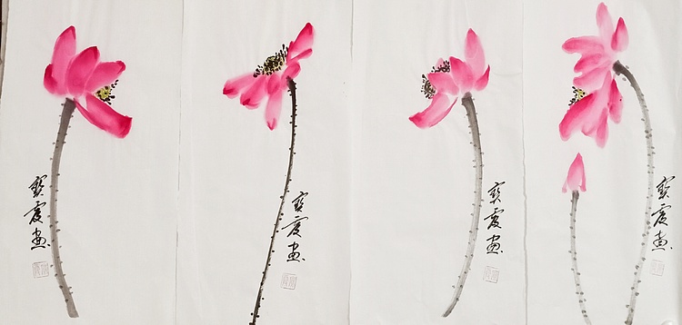 中国老年书画研究会会员 张宝霞 精品荷花四条屏