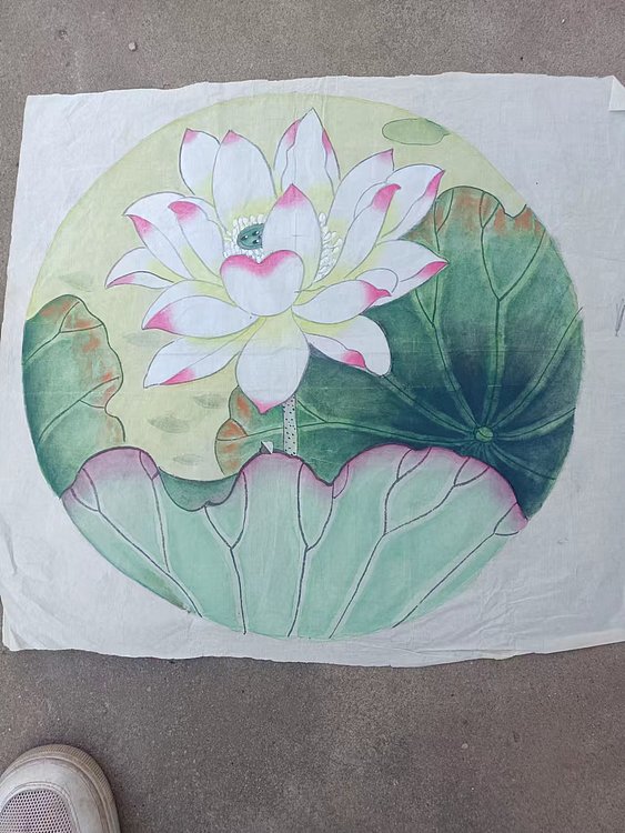 魏兰芝 荷韵