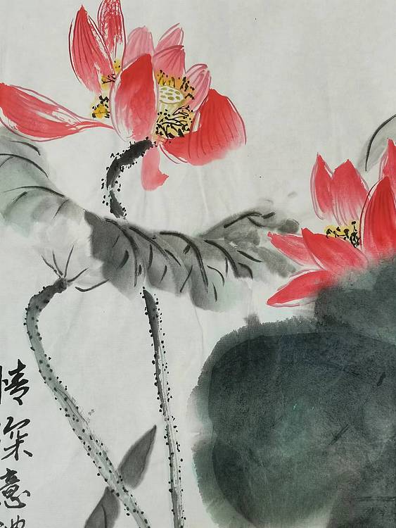 秦广宁 情深意浓