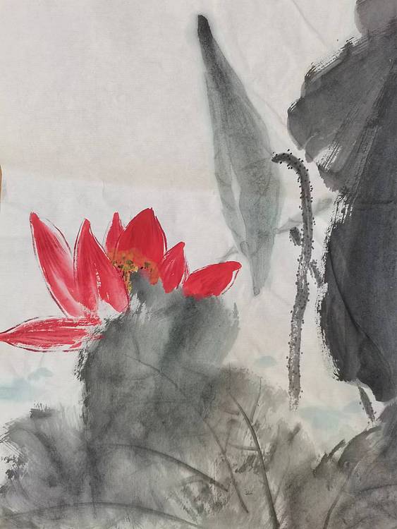 秦广宁 水墨荷花