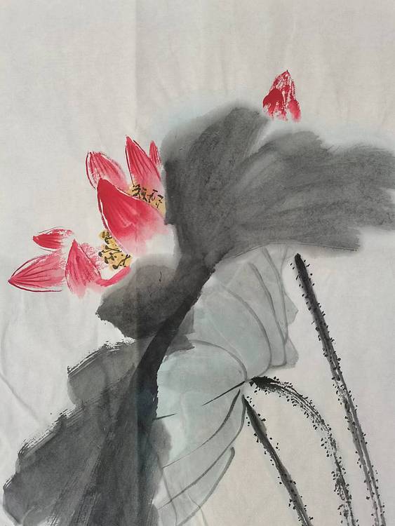 秦广宁 水墨荷花