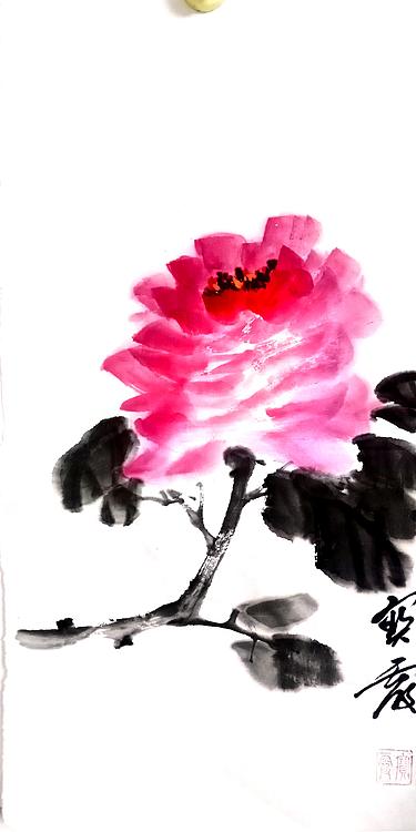 中国老年书画研究会会员 张宝霞 一花一世界