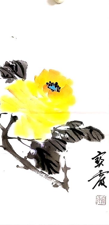 中国老年书画研究会会员 张宝霞 一花一世界
