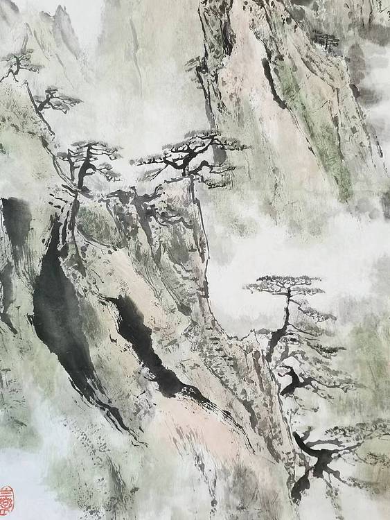 秦广宁 黄山松云