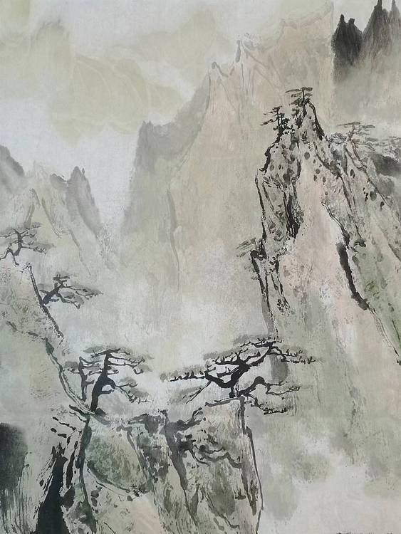 秦广宁 黄山松云